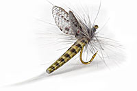 Realistic Trout Flies